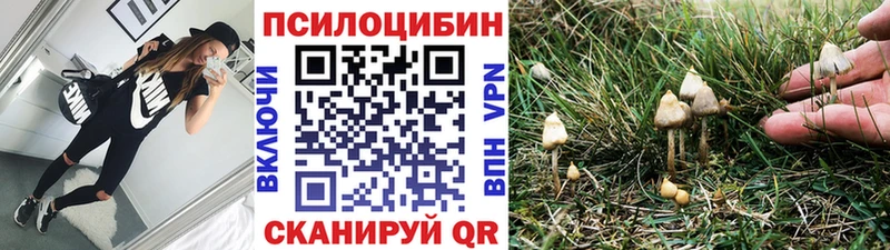Купить где  Порхов  Псилоцибиновые грибы мухоморы 